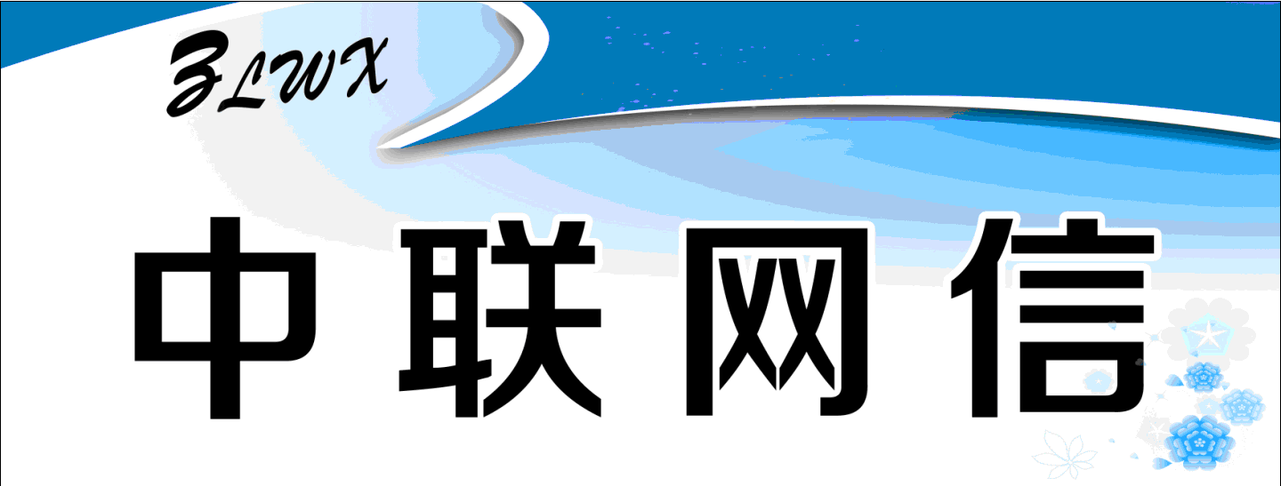 北京中联网信技术服务有限公司